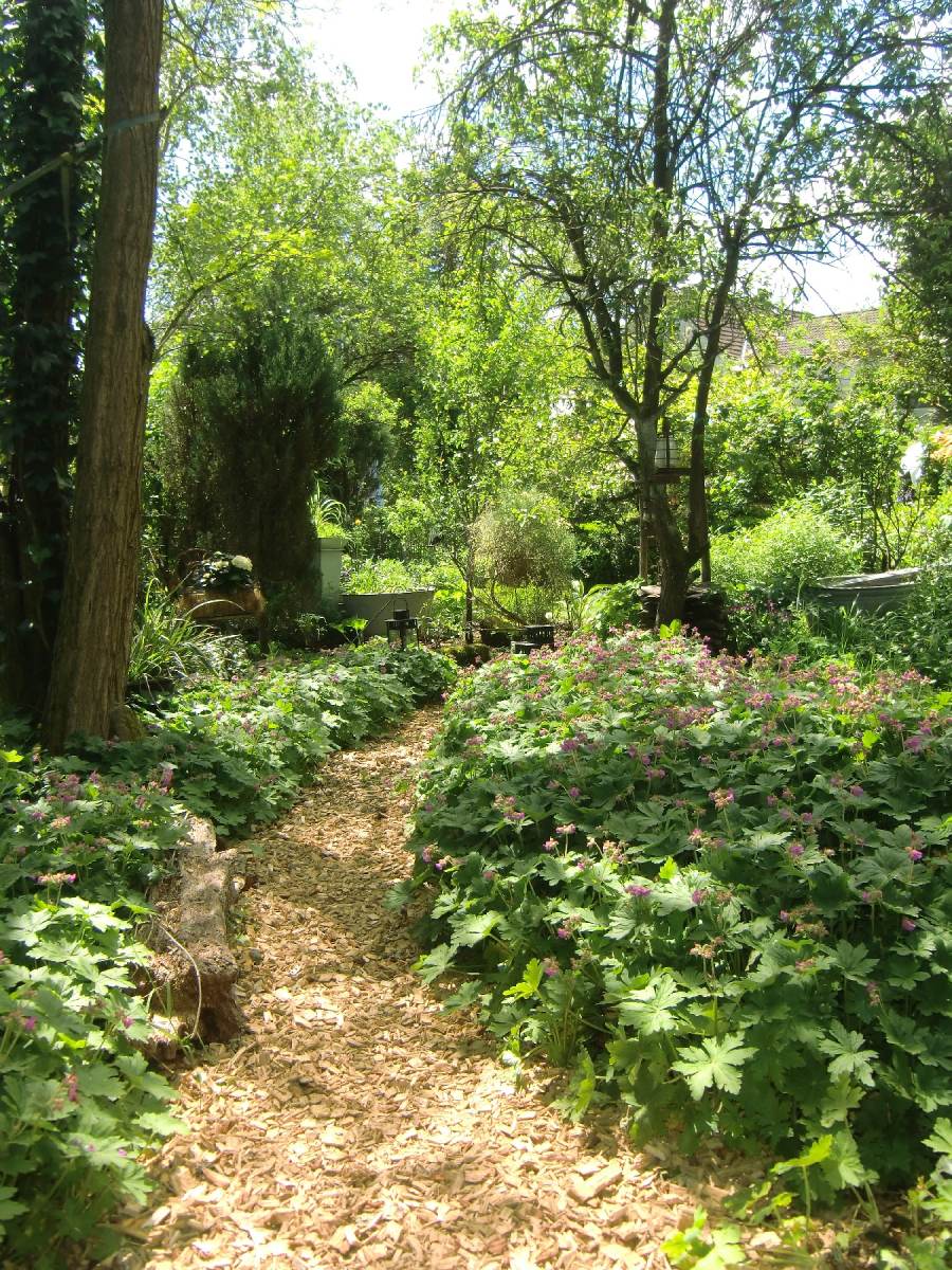 06_Block_Buchenau_3_1800
