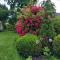 06_Block_Buchenau_4_1800