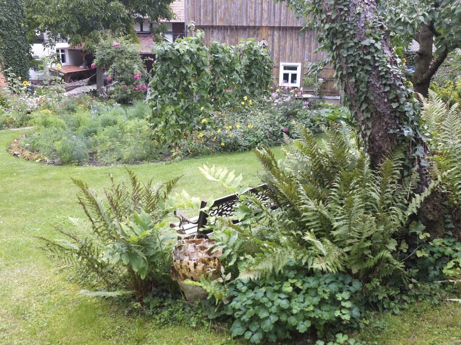 10_02_Bogner_DSF7508 o.jpg