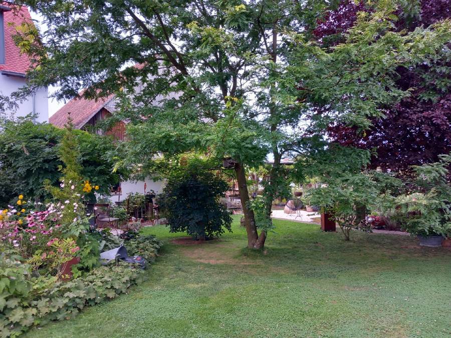 10_Kaiser_Ebsdorf_2_1800