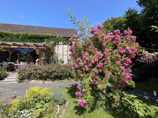 05_04_Stockfisch_IMG_9989