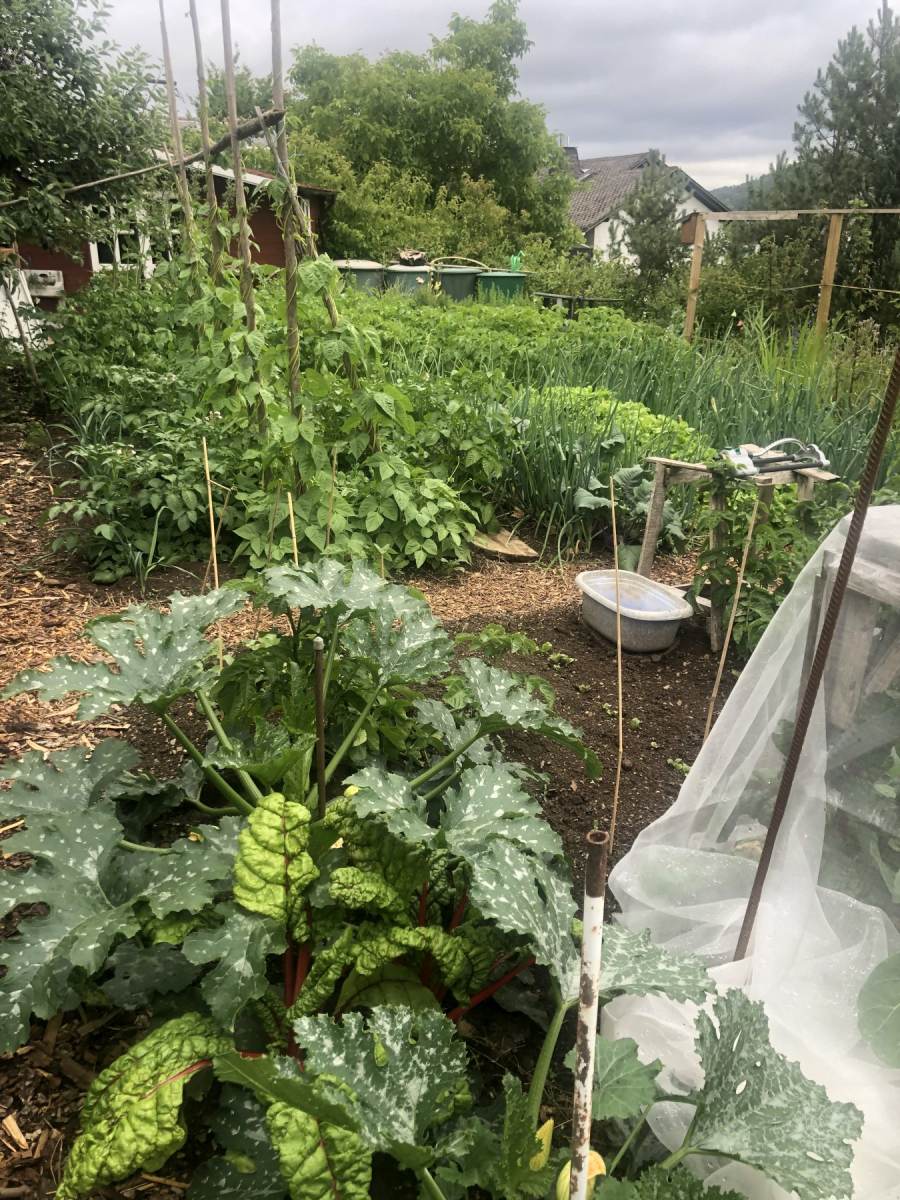 08_03_Reichwein_IMG_3966_o