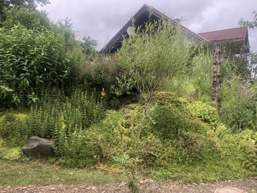 08_04_Reichwein_IMG_3968_o