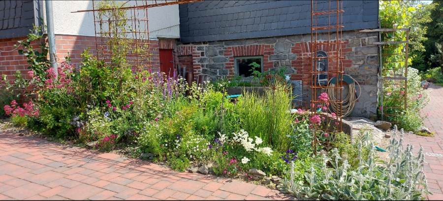 11_02_Schaumann_20260210_075402_Gallery