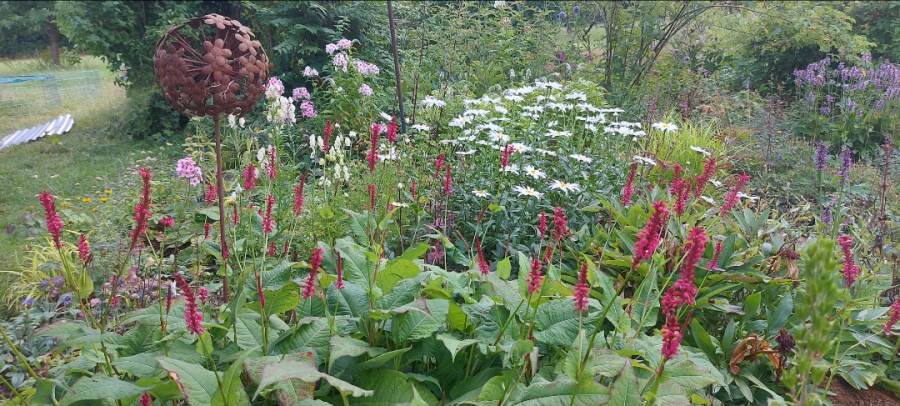 11_04_Schaumann_20260210_082804_Gallery