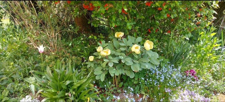 11_05_Schaumann_20260210_083342_Gallery