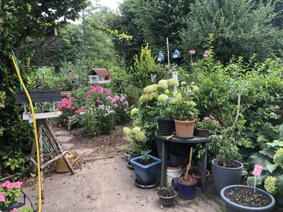 07_02_Scriba_IMG_4080_o