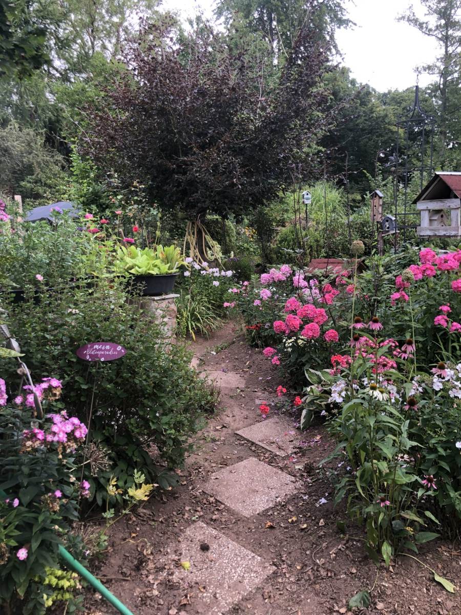 07_03_Scriba_IMG_4082_o