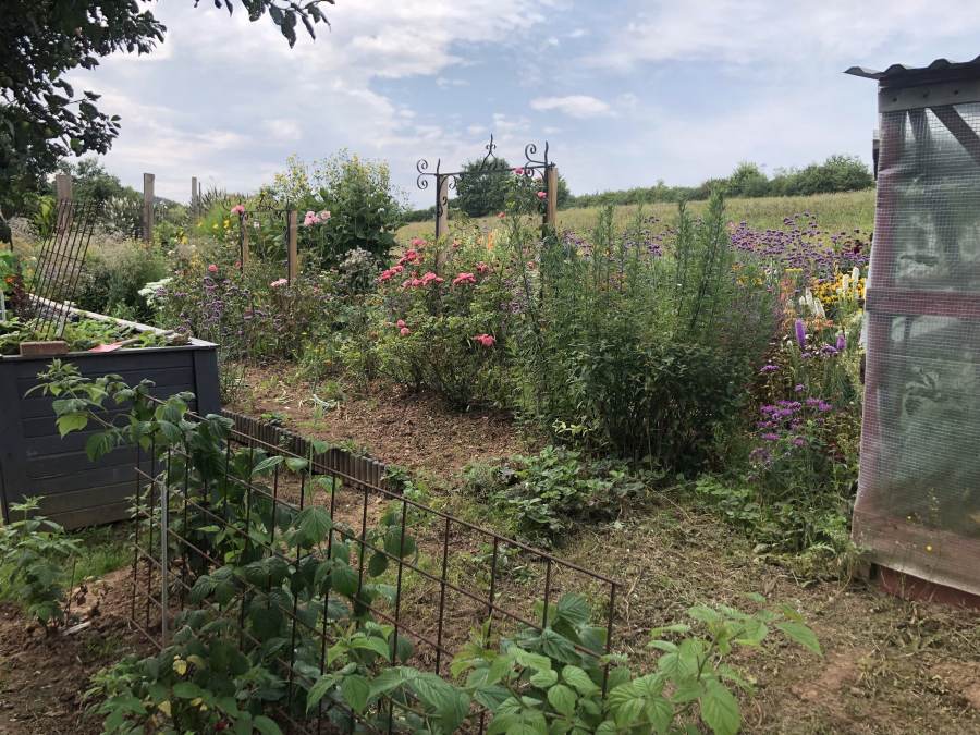 07_05_Scriba_IMG_4085_o