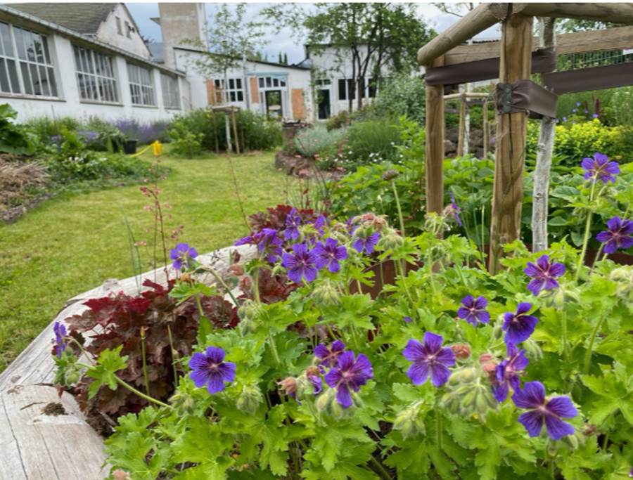 03_05_Wittkamp_image_4_o